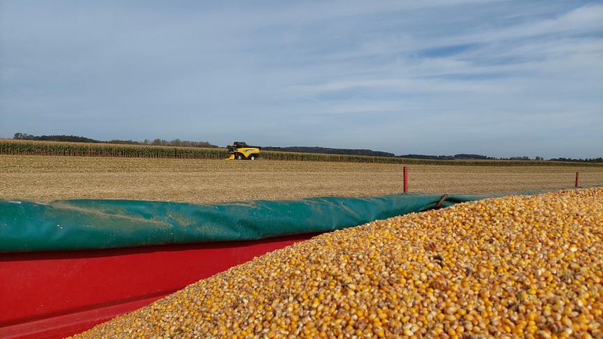 De prijsstijging is te wijten aan de marktverstoring door de oorlog in Oekraïne.