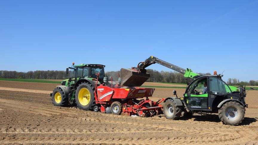 De kwaliteit van het pootgoed wordt idealiter gecontroleerd bij levering op de boerderij.