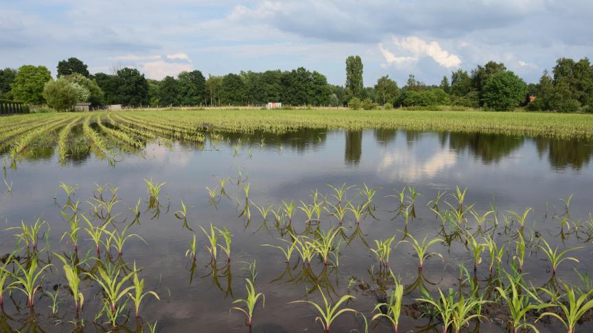 Met een brede weersverzekering kun je je wapenen tegen extreme en ongunstige weersomstandigheden die de draagkracht van je bedrijf te boven gaan.