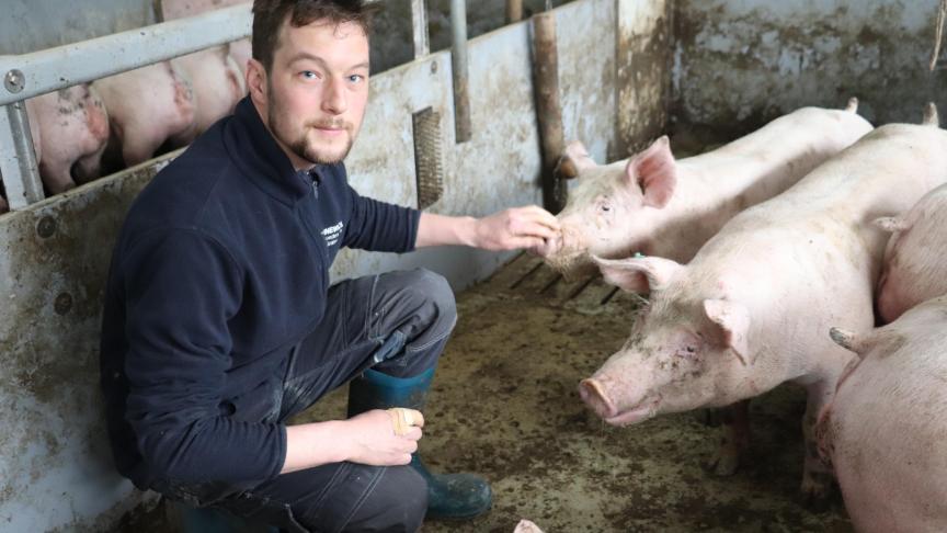 Dit jaar heeft Bart Lageschaar de varkenstak van het ouderlijke bedrijf overgenomen. Zijn jongere broer verzorgt het melkvee.