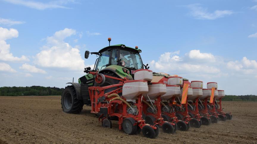 Franse boeren hebben minder maïs uitgezaaid en meer zonnebloemen.