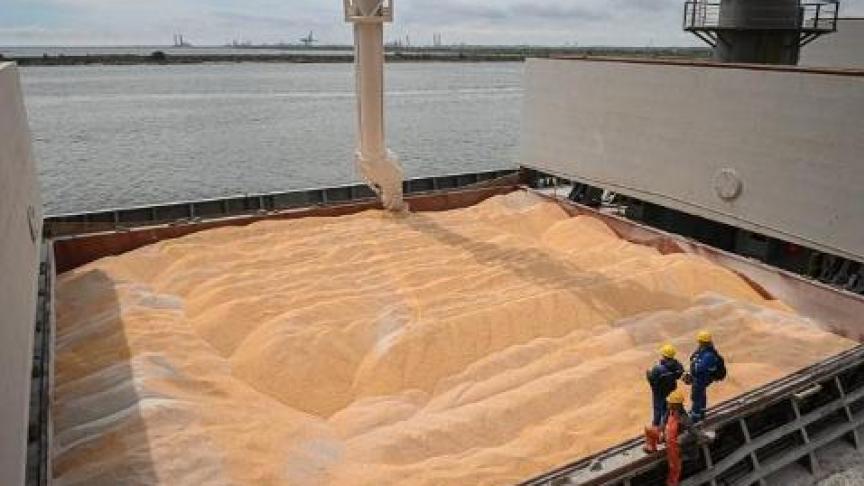 Er wordt nu slechts 1,5 mio Mt tarwe per maand geëxporteerd uit Oekraïne. Er is een corridor naar de zeehavens gewenst om de voorraden te verspreiden over de wereld