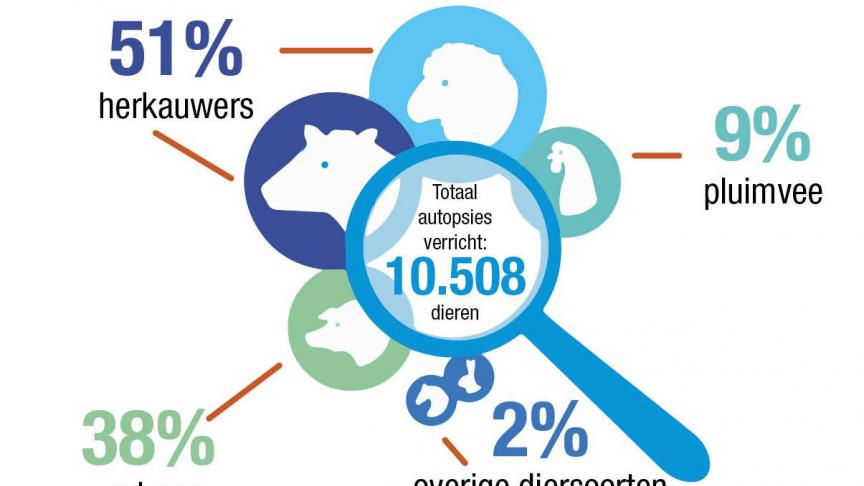 De percentages van autopsies gedurende 2021 over verschillende diersoorten heen.