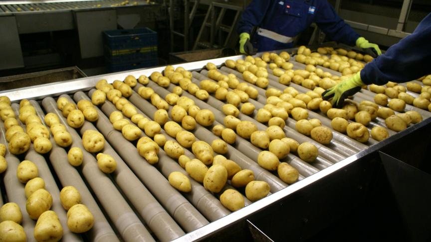 In het kader van circulaire landbouw zouden aardappelschillen gebruikt kunnen worden om frietbakjes van te maken.