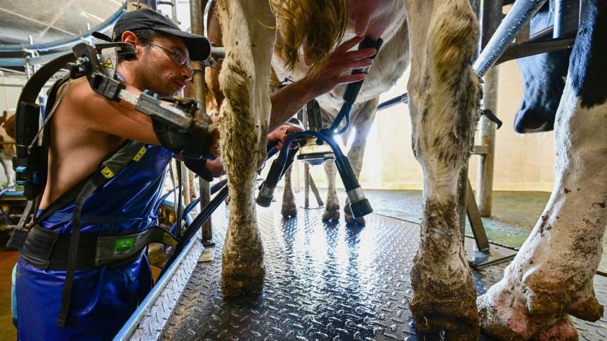 De ‘oude’ melkstaten, zoals Frankrijk, Duitsland en Nederland, blijven zwak melken.