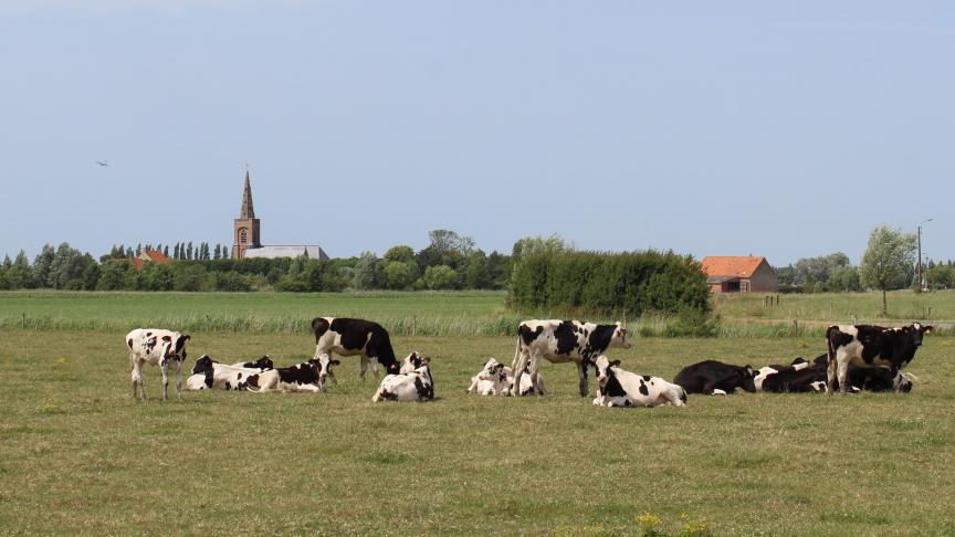 Het Departement Landbouw en Visserij betaalt op 30 juni 2022 een aantal betalingen aan Vlaamse landbouwers uit.