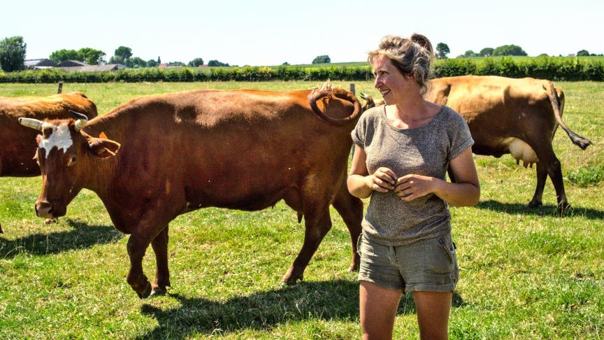 Fien Deschacht met haar West-Vlaamse rode koeien.