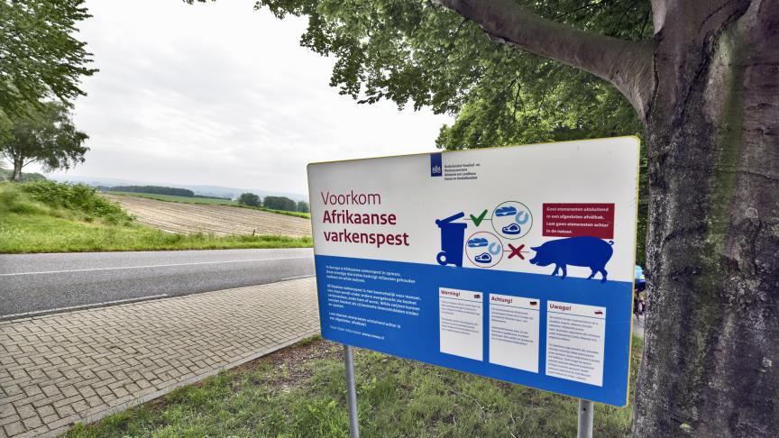 De besmetting met Afrikaanse varkenspest op een Duits varkensbedrijf gebeurde op slechts 15 km van de Nederlandse grens. Dit verontrust de hele sector.