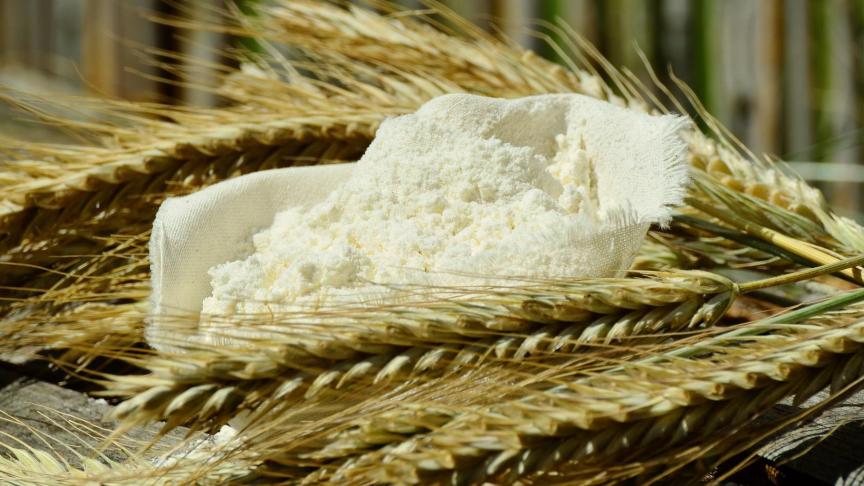 Na China is India wereldwijd de grootste producent van tarwe. Het wil nu de eigen voorraden spekken.