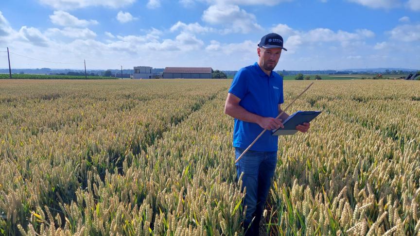 Frederik De Witte toonde ons in wintertarwe Verben, het nieuwe graanfungicide van Corteva.