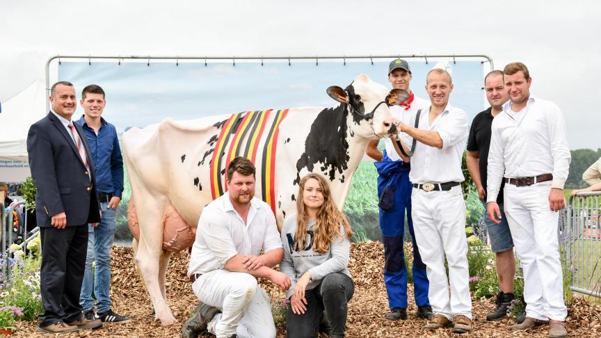 Octane Alana, de algemeen dagkampioene en zwartbontkampioene van Van Hoof-Boonen.