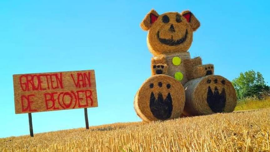 Jongeren van Groene Kring zullen vanaf 22 augustus het Vlaamse platteland versieren met meer dan 45 stropoppen.