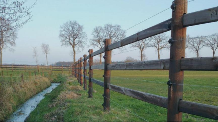 VLM doet een oproep aan de veehouders om hun dieren op te beschermen met wolfwerende omheining.