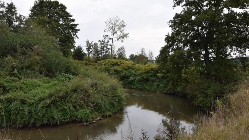 De debieten en waterpeilen van de onbevaarbare waterlopen en waterwegen zijn maar voorzichtig hersteld.