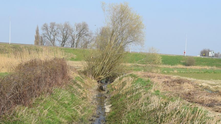 Een hogere rioleringsgraad moet zorgen voor een betere waterkwaliteit.