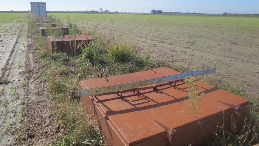 Via de samengestelde drainage, verbonden met de ondergrondse zoetwaterbel, is er geen tekort aan beregening.