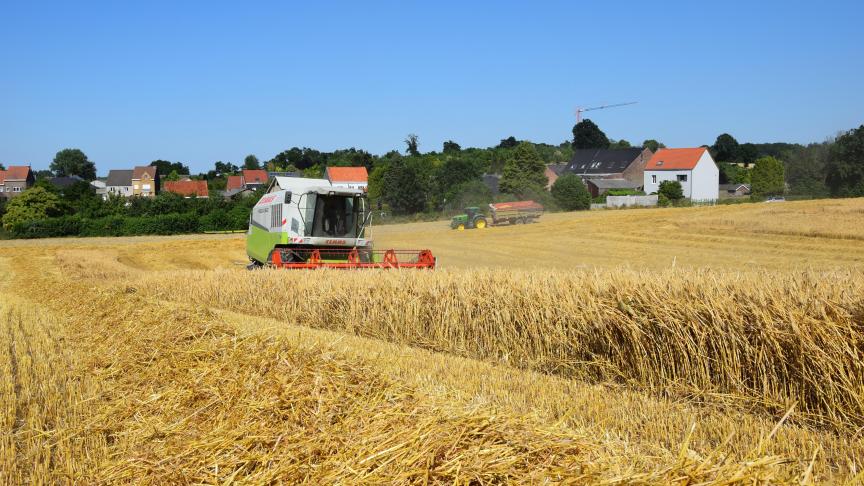 Hoewel de oorlog de export van graan belemmert, heeft Oekraïne sinds het akkoord bijna 8 miljoen ton levensmiddelen vervoerd.