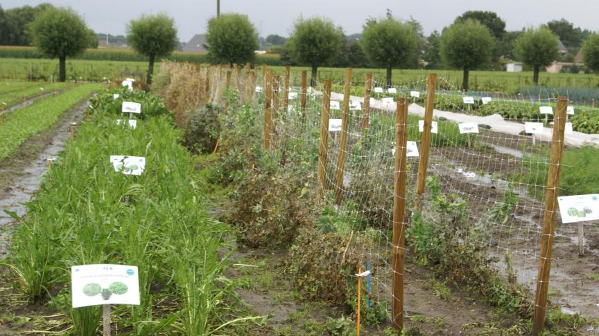 De investeringen moeten een directe meerwaarde betekenen voor de landbouwer als leverancier van de te verwerken of af te zetten landbouwproducten.