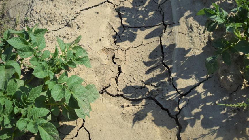 De Klimaatcoalitie vraagt aandacht voor de druk op het mondiaal voedselsysteem, dat lijdt onder de periodes van droogtes en de overstromingen.