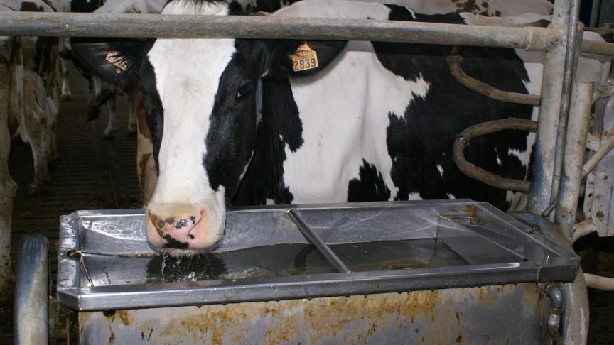 Een wateraudit brengt de waterstromen en -behoeften op een landbouwbedrijf in kaart en gaat na welke besparingsmogelijkheden er zijn.