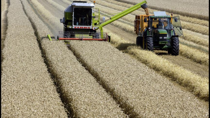 De oppervlakte zomergranen en korrelmaïs was in 2022 met +38,8% gestegen, als gevolg van de stijging van de graanprijzen door de oorlog in Oekraïne.