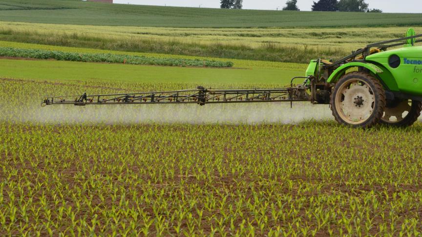 Volgens VITO hebben kinderen in enkele Kempische gemeenten verontrustend meer pesticiden in hun lichaam dan de meesten van hun leeftijdsgenoten.