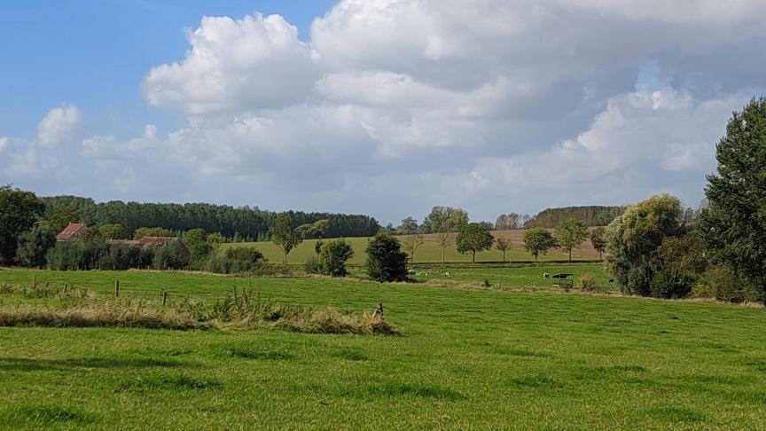 In West-Vlaanderen is de pachtprijs het duurst: beteelde grond kosten gemiddeld 490 euro/ha en grasland gemiddeld 418 euro/ha.