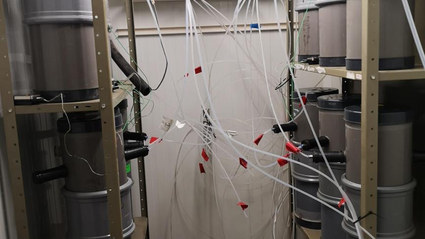 Hier zie je een in vitrostudie met mestcontainers, waarin onder andere kleimineralen en zeolieten worden getest.