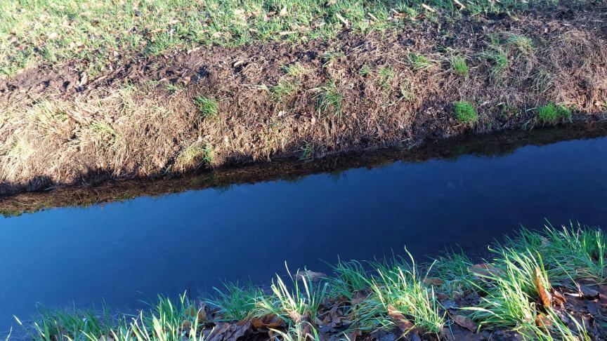 De toestand van het grondwater in Vlaanderen blijft overwegend droog voor de tijd van het jaar, ondanks de neerslag in de tweede helft van december.