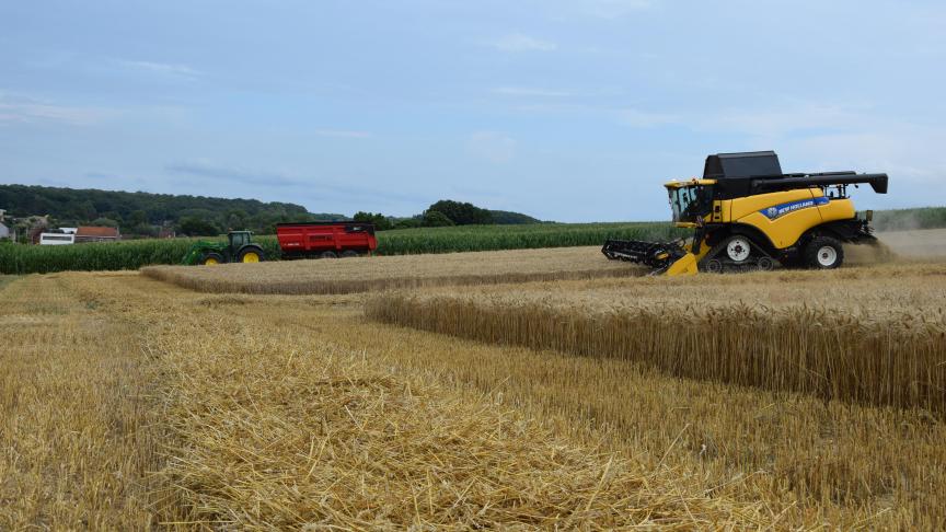 Boeren van 6 EU-landen zien hoe hun producten steeds meer plaats moeten maken voor goedkope Oekraïense concurrentie.