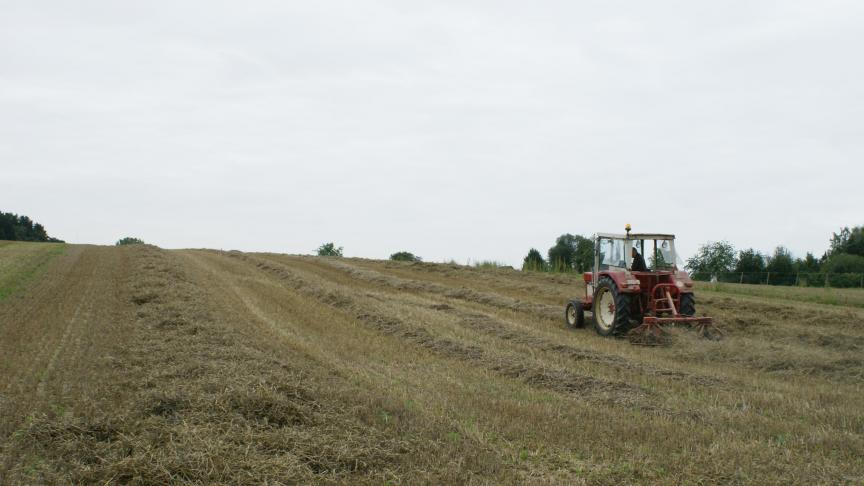 In Oost-Vlaanderen pachten 160 verschillende landbouwers meer dan 10% van hun areaal bij het OCMW van Gent. Gemiddeld gaat het zelfs over 30%.