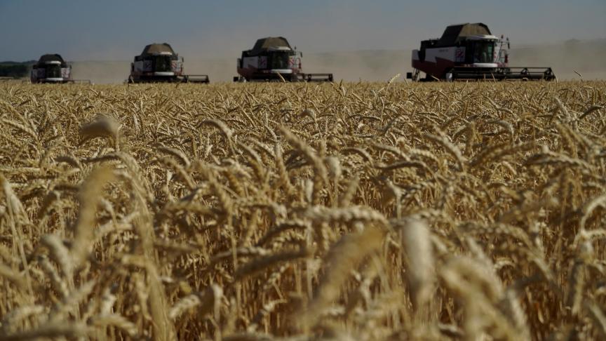Het tarweaanbod vanuit Rusland, aan scherpe prijzen, blijft de prijs onder druk zetten.