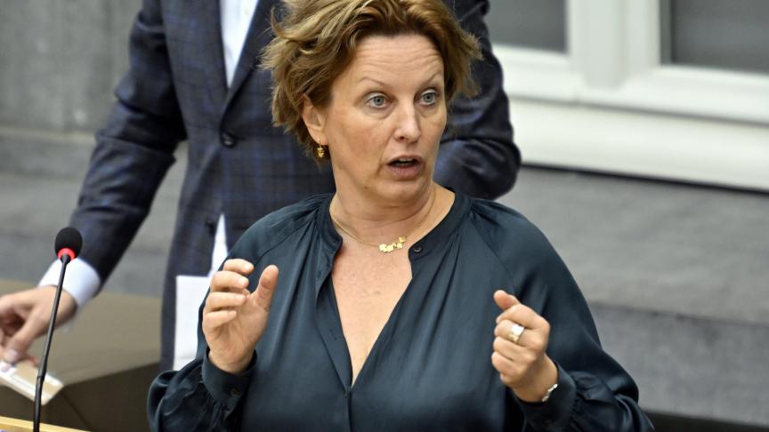 Mieke Schauvliege (Groen) vraagt zich af of een versoepeling van de regelgeving ervoor gaat zorgen dat de stikstofneerslag op de beschermde natuurgebieden zal verminderen.