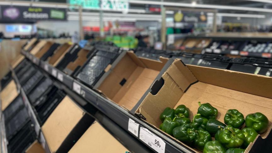 Bovenop de tekorten aan sommige groentensoorten dreigt er volgens Britse landbouwers ook een schaarste aan appels en peren te ontstaan in het Verenigd Koninkrijk.