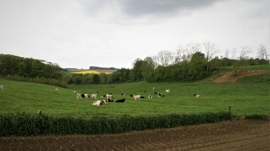 Bij de nationale parken moet de oppervlakte van de natuurkernen op het moment van de erkenning minimaal 5.000 ha zijn. 24 jaar na erkenning moet de natuurkern uitgebreid worden tot minstens 10.000 ha.