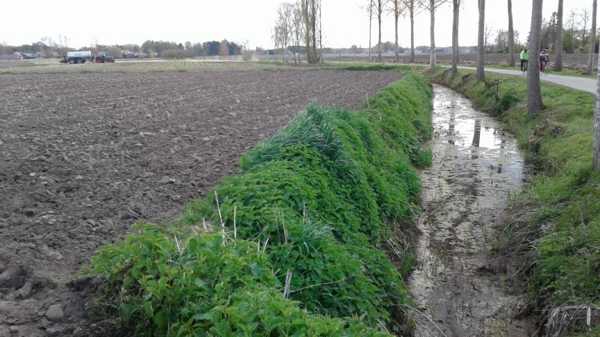 Er wordt geïnvesteerd in 51 zuiveringsinstallaties van Aquafin om fosfor maximaal uit afvalwater te halen vooraleer dat terug naar de beekjes en rivieren gaat.