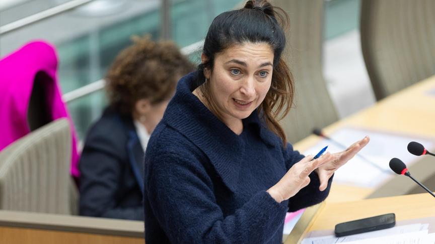 België heeft bezorgdheden over het gelijk speelveld, het subsidiariteitsbeginsel en de mogelijke conflicten met de eigenheid van de lidstaten, met inbegrip van het bevolkingsdichtheidscriterium.