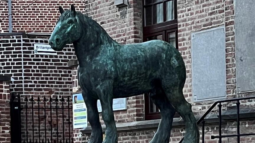 Dankzij de richtlijnen van Philippe Van Dixhoorn is het bronzen beeld voor het Museum van het Belgisch Trekpaard in Vollezele een zeer nauwkeurige weergave van hoe een Belgisch trekpaard er moet uitzien.