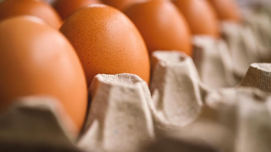 Vorig jaar waren scharreleieren in België goed voor 68% van de eierverkoop.
