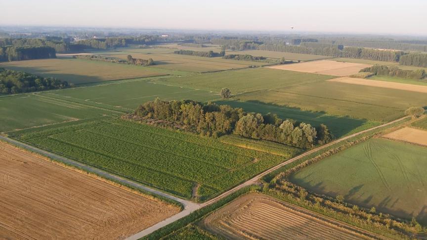 “In plaats van een Nature Restore Law, hebben we een Renew Nature Law nodig”, zeggen Gwendolyn Rutten, Steven Coenegrachts, Hilde Vautmans en Bart Van Hulle.