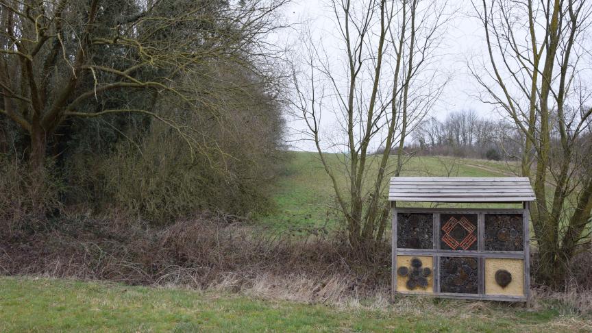 De NP-biodiversiteit ‘Behoud van solitaire bijen, kleine bijenkast - bijenhotel’ werd uitgesplitst.