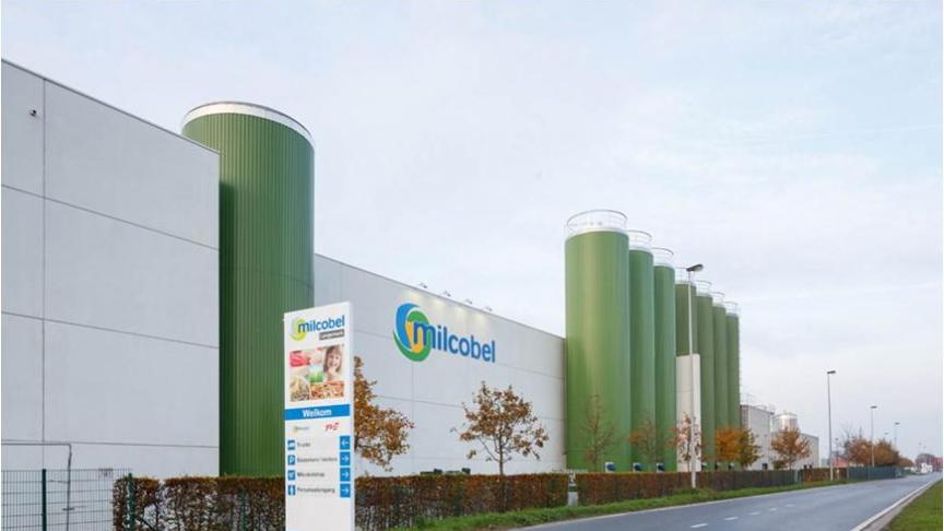 In het West-Vlaamse Langemark heeft zuivelcoöperatie Milcobel een grote fabriek voor mozzarella op basis van koemelk.
