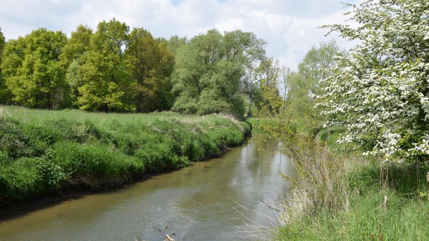 Op het merendeel van de onbevaarbare rivieren in Vlaams-Brabant geldt vanaf woensdag 14 juni 2023 een oppompverbod.