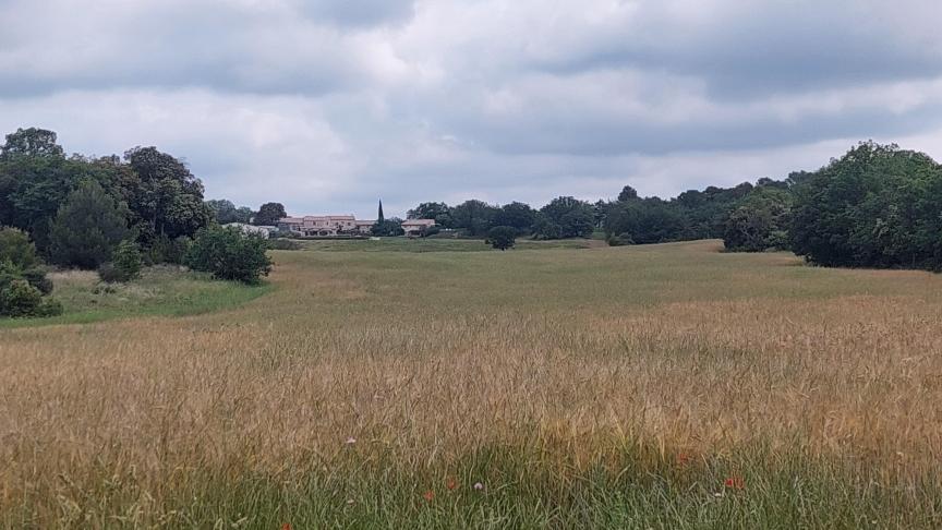 De Europese natuurherstelwetzal volgens Boerenbond - ondanks de aanpassingen - nog steeds voor grote onzekerheid en potentiële zware impact zorgen op land- en tuinbouw in Vlaanderen en Europa.