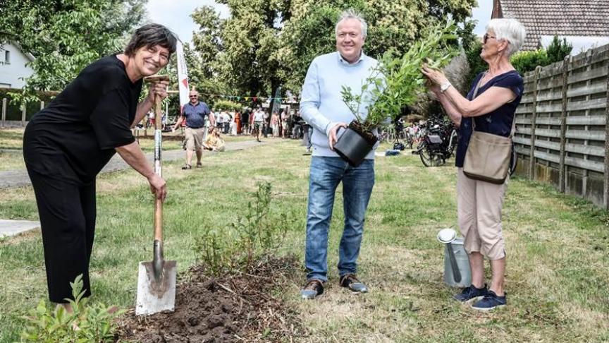 Gedeputeerde Kathleen Helsen plant nog een blauwebessenstruik samen met schepen Johan Verhaegen van Grobbendonk en vrijwilligster Paula Corthout (rechts).