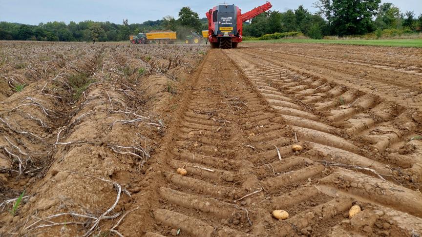 Volgens minister Demir komt de verhoogde voedselverspilling voornamelijk door de toename van het areaal uien en aardappelen.