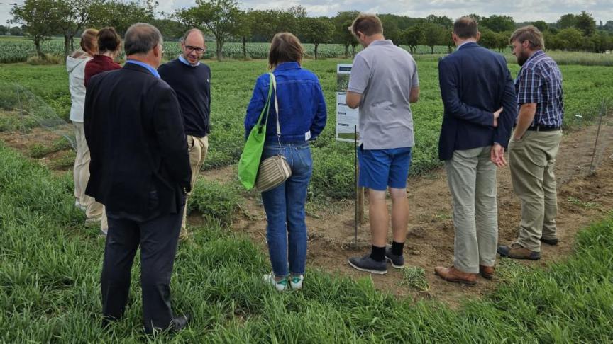 Eiwithoudende gewassen telen in Vlaanderen wordt noodzakelijk in de toekomst. ILVO doet alvast proefveldonderzoek.