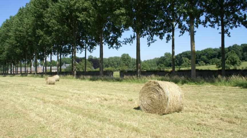 Eerder was de natuurherstelwet tot 3 keer toe verworpen op commissieniveau.