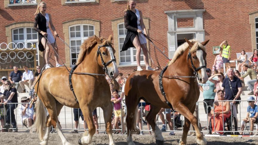Tijdens de viering van 30 jaar Vlaams Paard in Torhout brachten Auke Talpe en Amy Van Dam 2 Vlaamse Paarden naar voor, gereden via de ‘Hongaarse post’.