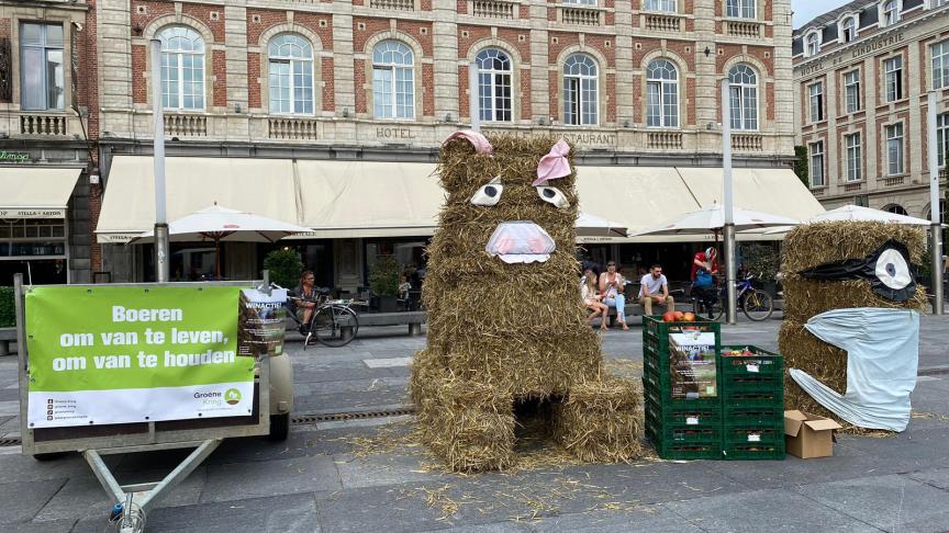 De stropoppenactie werd gelanceerdop enkele pleinen in Vlaamse centrumsteden, maar ze zullen overal in Vlaanderen te wonderen zijn.